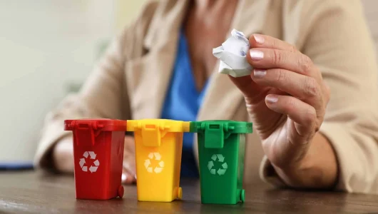 Recycling-bins-image-header-scaled-2